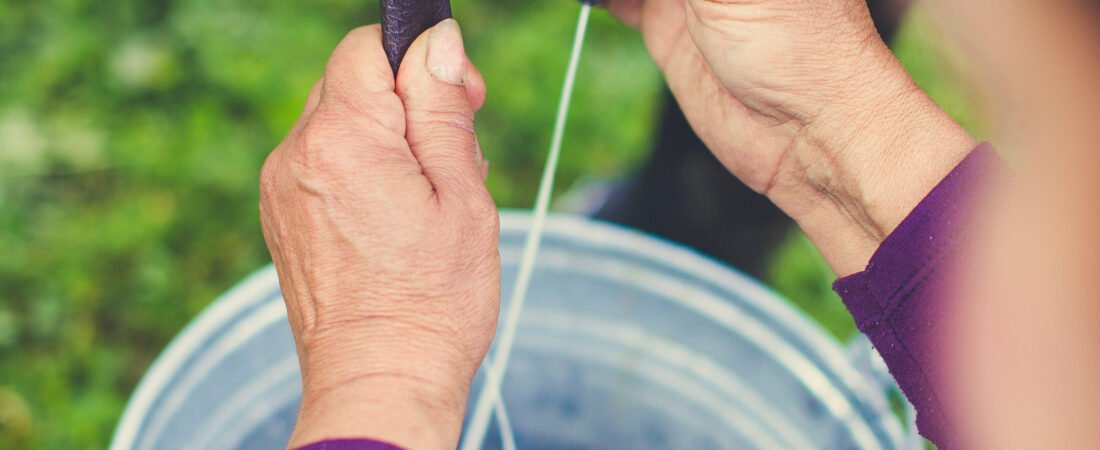 Leche de cabra: Beneficios, propiedades y dónde comprarla en Murcia